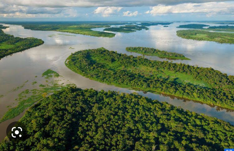 RDC: les USA annoncent un appui de 8,3 millions USD pour la conservation et au développement du bassin du Congo