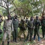 Beni: 3 autres leaders ADF tués par les FARDC-UPDF à Mwalika
